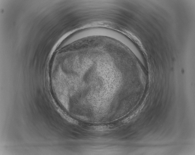 X0000080180792200612221314