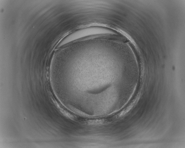 X0000080180793200612221314