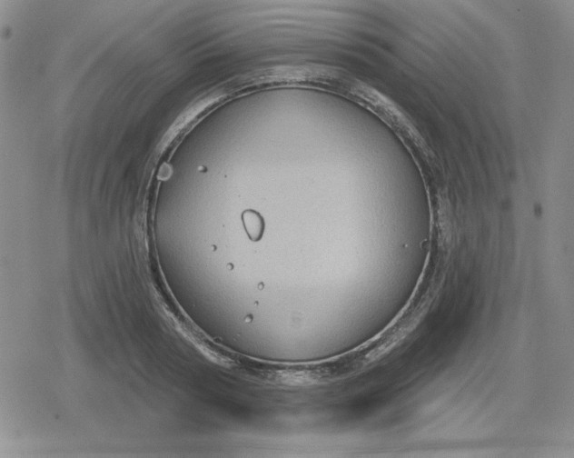 X0000080180794200612221314