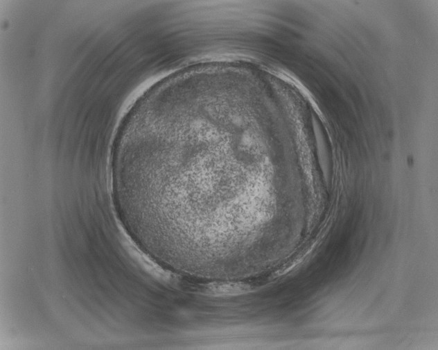 X0000080180795200612221314