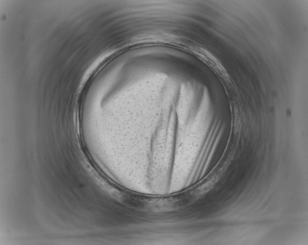 X0000080180796200612221314