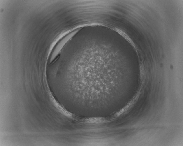 X0000080180797200612221314