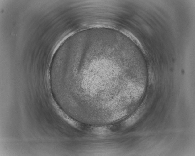 X0000080180798200612221314