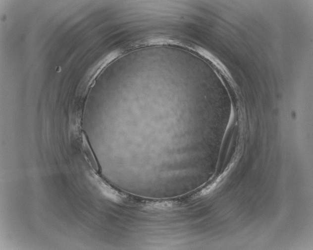 X0000080180801200612221314