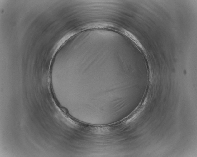 X0000080180802200612221314