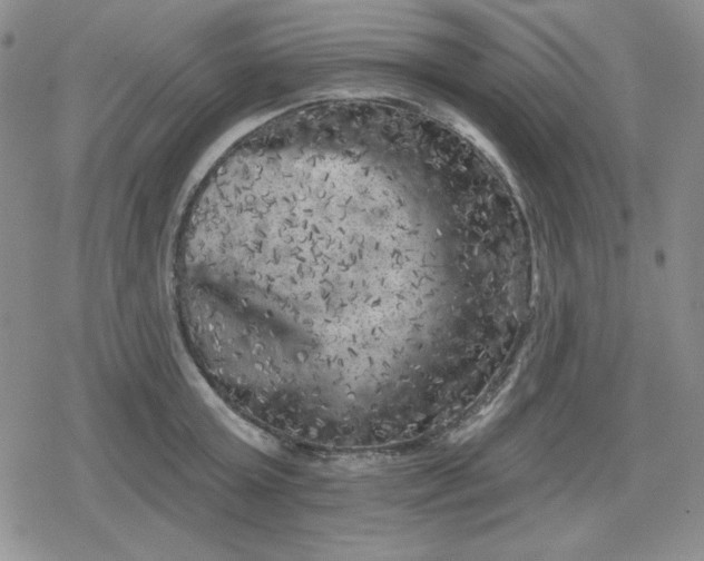 X0000080180803200612221314