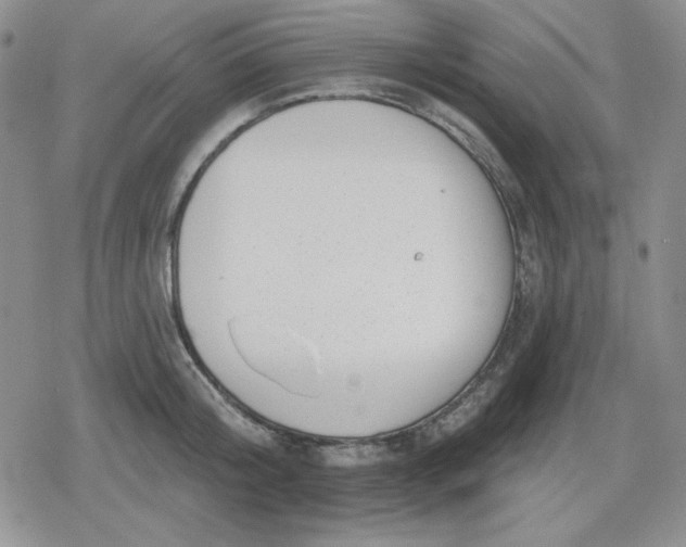 X0000080180804200612221314