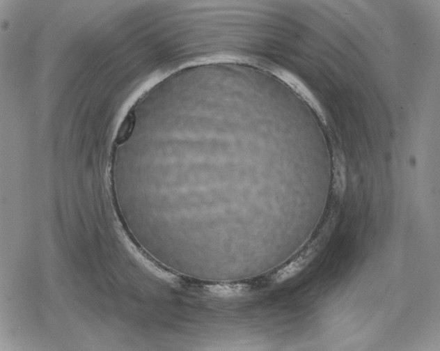 X0000080180805200612221314