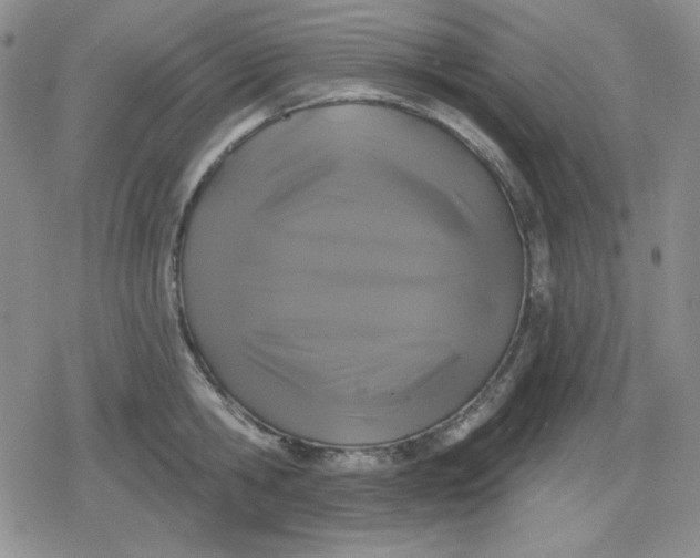 X0000080180806200612221314