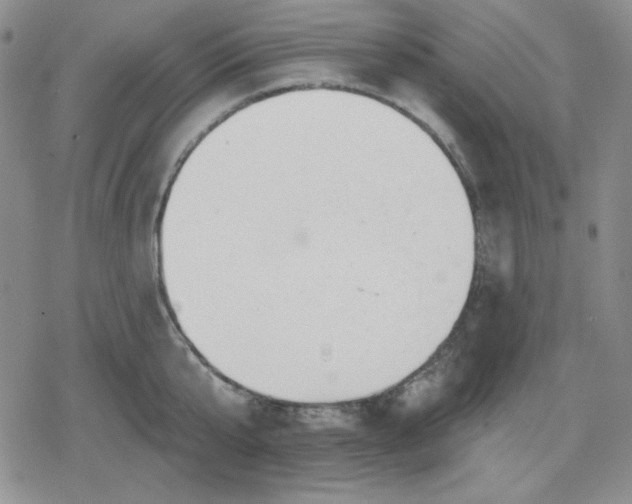 X0000080180807200612221314