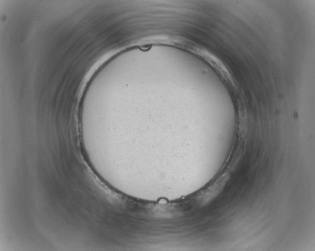 X0000080180808200612221314