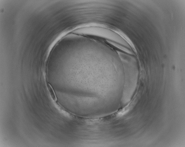 X0000080180813200612221314