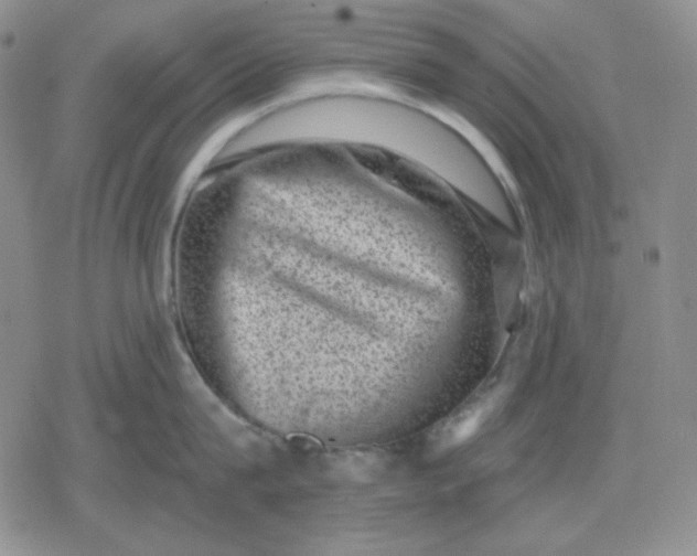 X0000080180815200612221314