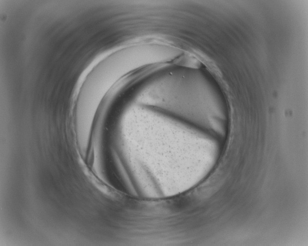 X0000080180816200612221314