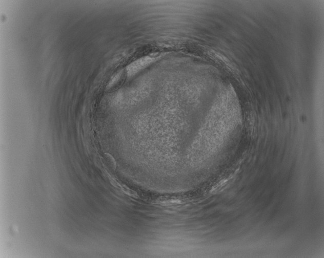 X0000080180817200612221313