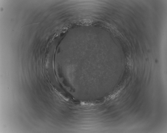 X0000080180818200612221313