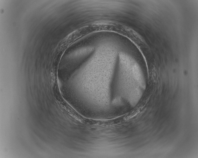 X0000080180821200612221313