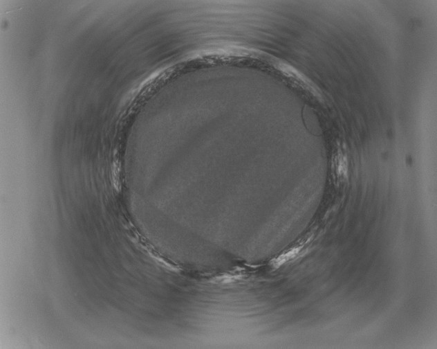 X0000080180822200612221313