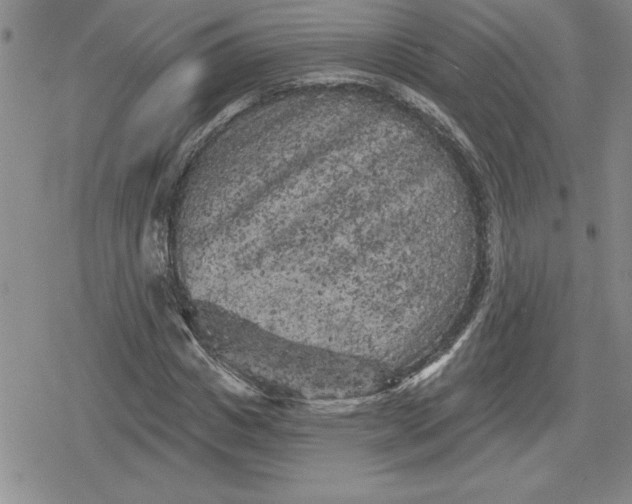 X0000080180825200612221313