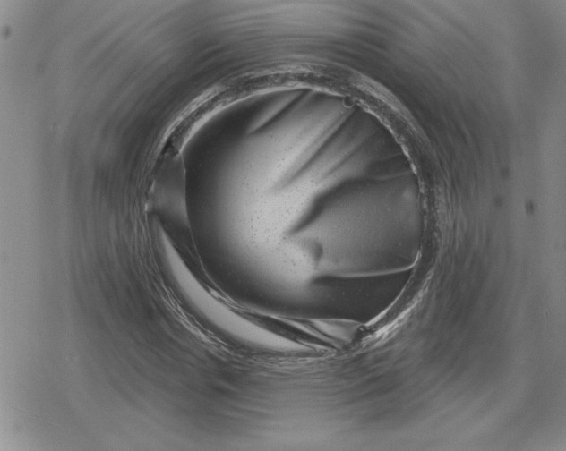 X0000080180826200612221313