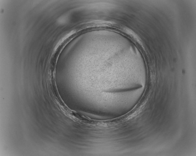 X0000080180827200612221313