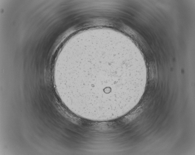 X0000080180828200612221313