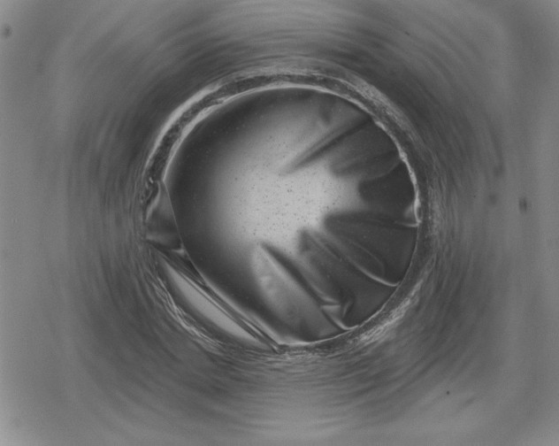 X0000080180830200612221313