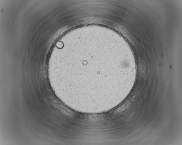 X0000080180832200612221313