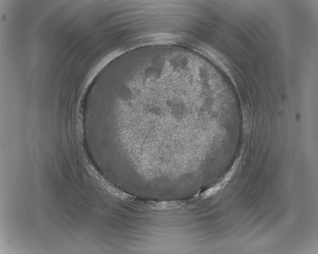 X0000080180835200612221314