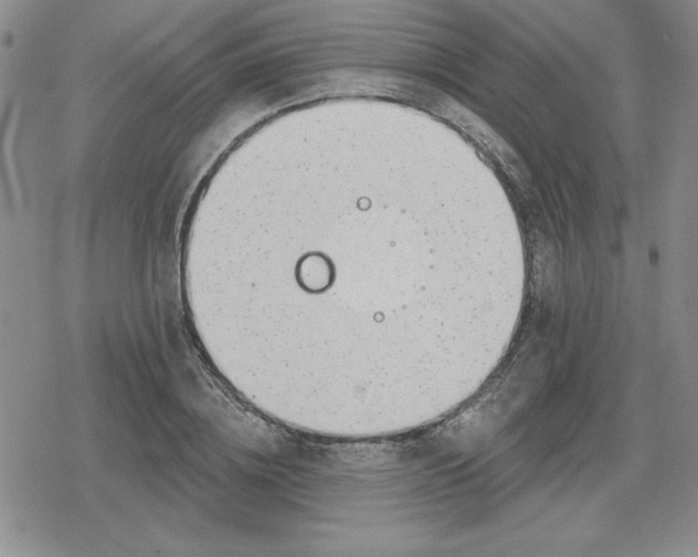 X0000080180836200612221314