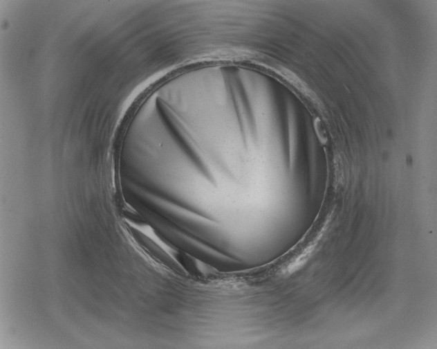 X0000080180838200612221314