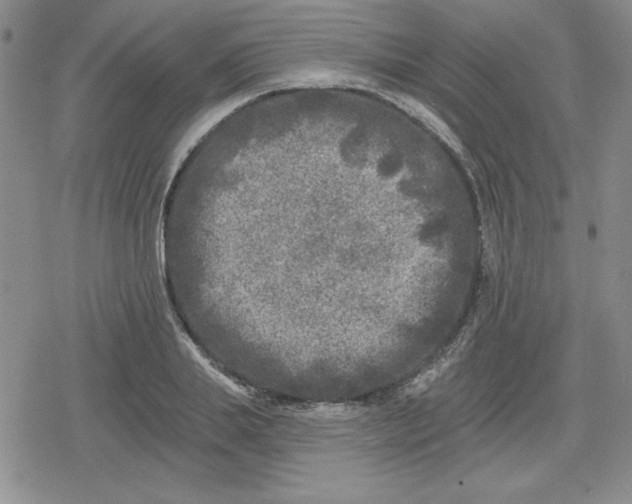 X0000080180839200612221314