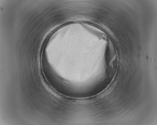 X0000080180840200612221314