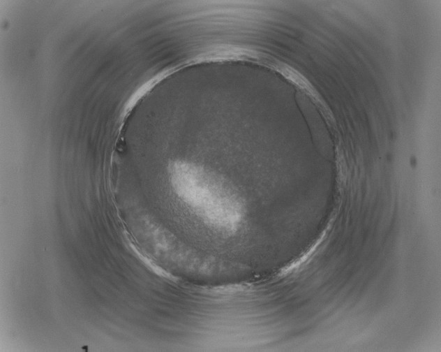 X0000080180842200612221314