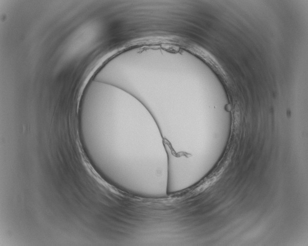 X0000080180844200612221314