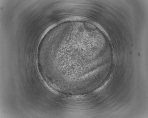 X0000080180845200612221314