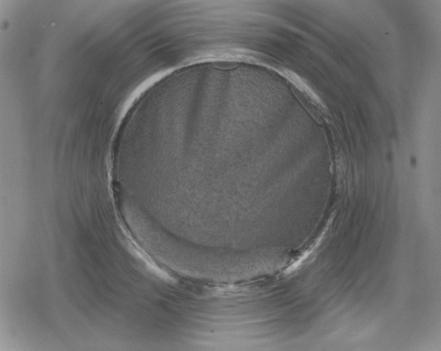 X0000080180846200612221314