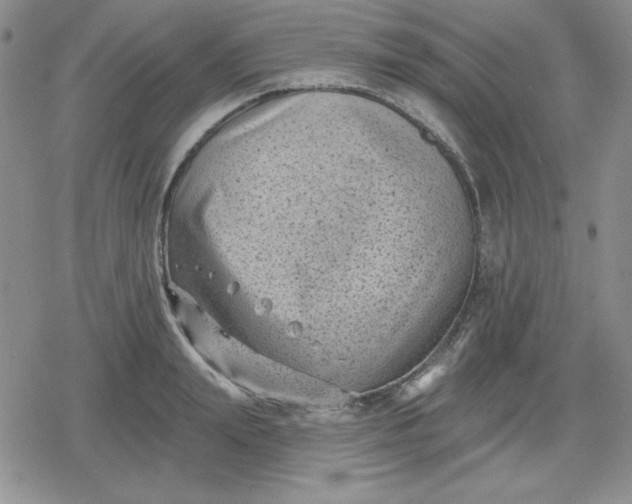 X0000080180847200612221314