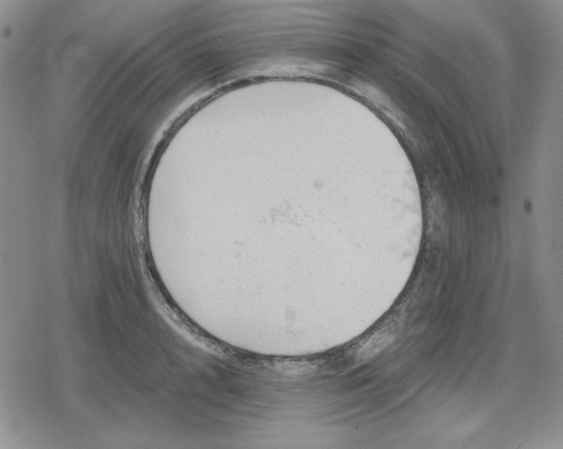 X0000080180848200612221314