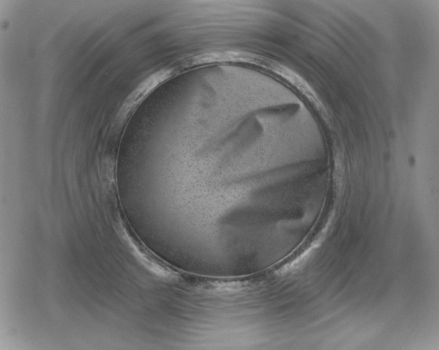 X0000080180849200612221314