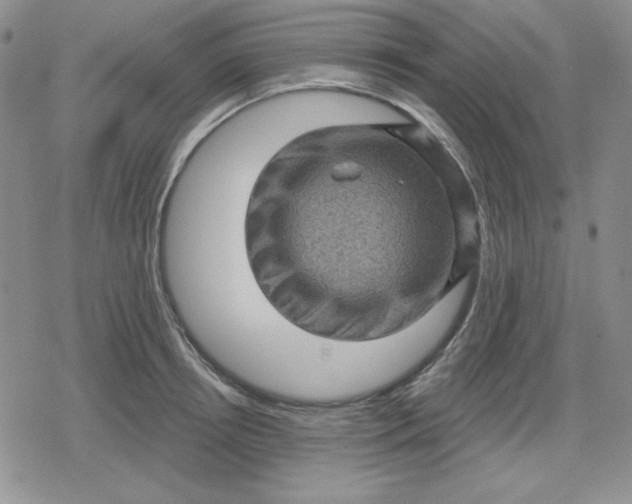 X0000080180850200612221314