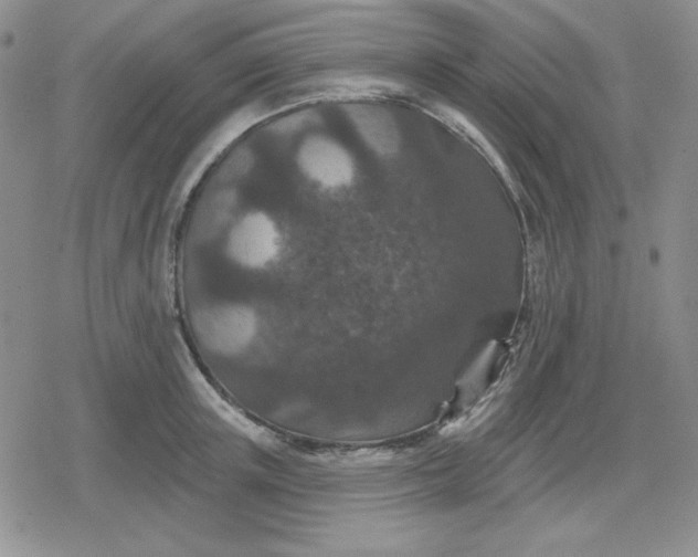 X0000080180851200612221314