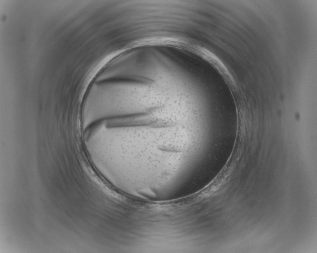 X0000080180852200612221314