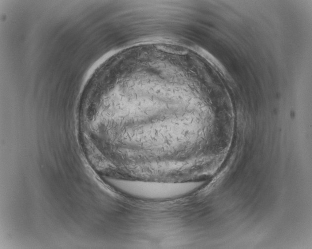 X0000080180854200612221314