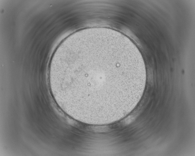 X0000080180856200612221314