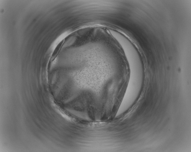 X0000080180858200612221314