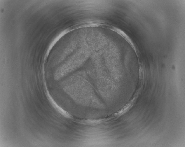 X0000080180859200612221314