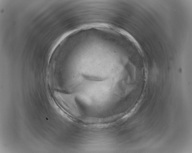 X0000080180860200612221314