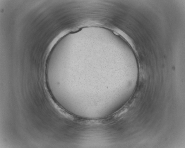 X0000080180861200612221314