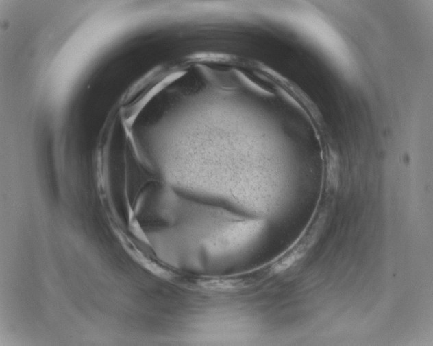 X0000080180862200612221314